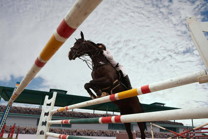 Gilt CBD fürs Pferd als Doping?