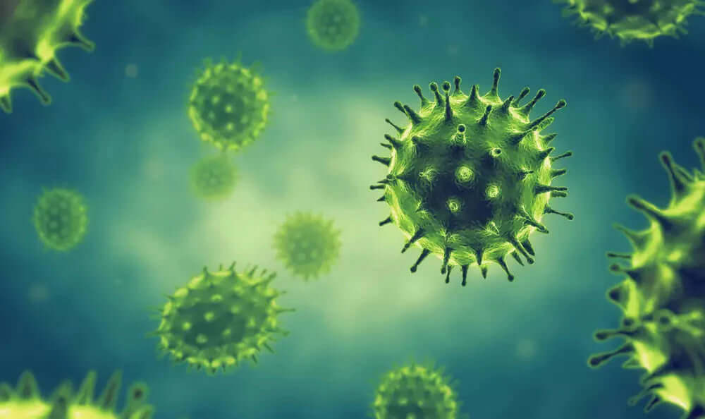 CBD gegen Corona – Wie effektiv ist Cannabidiol bei Viren?