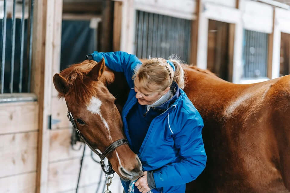 CBD Öl für Pferde mit Arthrose – Wirkungsweise und Anwendung