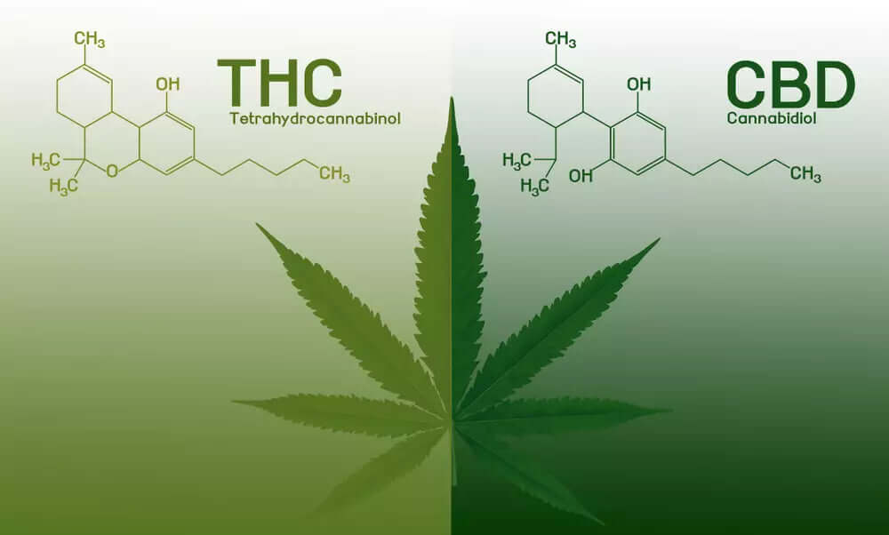 Unterschied CBD und THC – Cannabinoide im Vergleich
